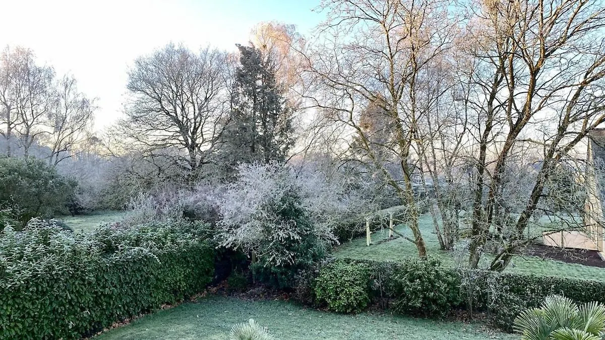 Maison Melusine Ossature Bois Foret De Broceliande Néant-sur-Yvel Francia